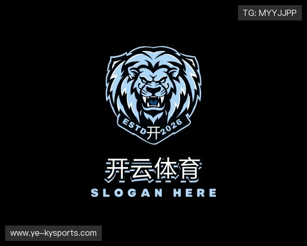 发现开云网站
